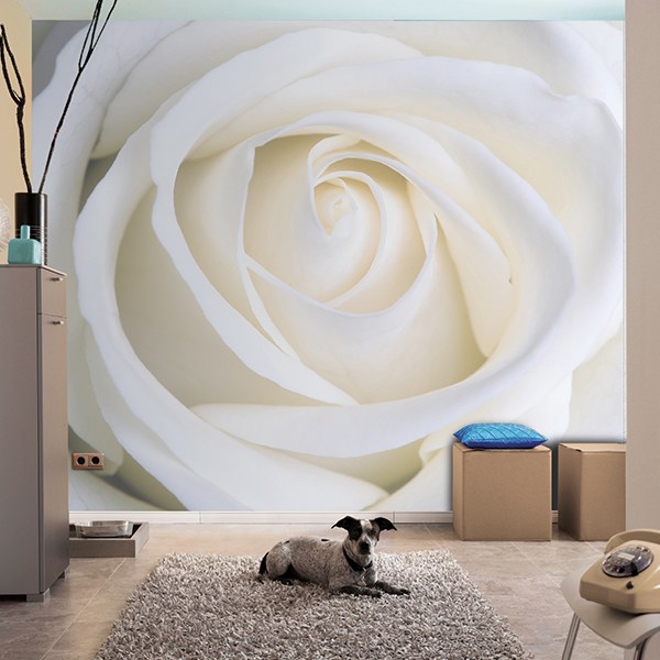 Poster Plié Blanc Accroché Sur Un Mur Rose Avec Des Clips Image stock -  Image du plié, trame: 221702285