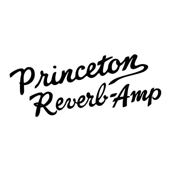 Autocollants: Princeton Reverb-Amp