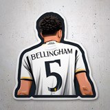 Autocollants: Bellingham 5 3