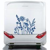 Stickers camping-car: Fleurs sauvages 3